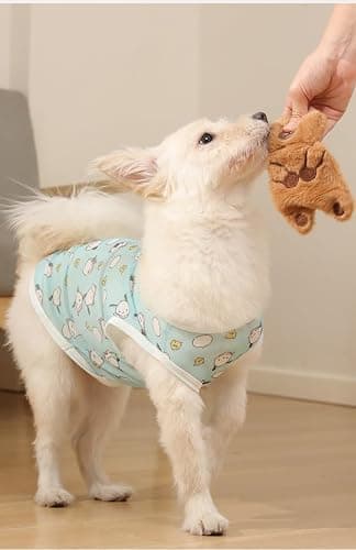 Crinkle bear dog toy w squeaker thumbnail 8