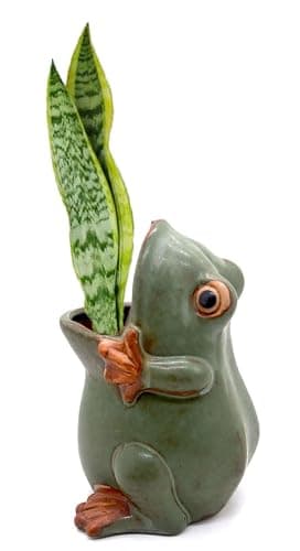 MONMOB 7" Ceramic Frog Shaped Plant Pot for Bonsai Flower Succulent Planter Candy Dish Pencil Holder Decor Multipurpose Green Frog Gift thumbnail 2