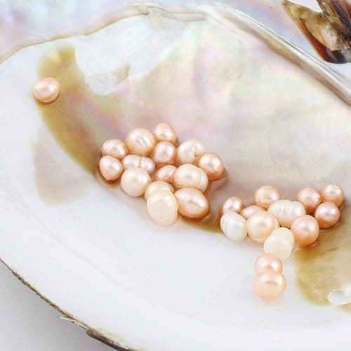 jessie Big Oysters with Plenty of Pearls Inside, 1 PC Cultured Freshwater Oyster Pearl for Jewelry Making or Birthday Gifts (5-7mm) thumbnail 4