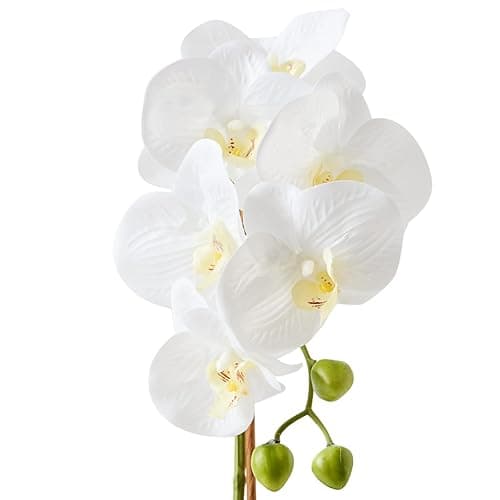 Hisow Orchids Artificial Flowers, 15" Faux Orchid in Gold Flower Pot Real Touch Flowers in Pot Large Flower Arrangements Artificial Centerpiece for Home Living Room Bathroom Kitchen Decoration (White) thumbnail 5