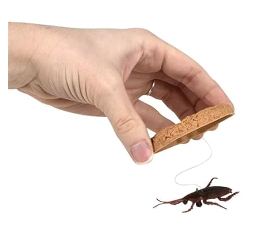 Nikki's Knick Knacks Prank Cookie Cockroach Surprise - April Fools Day Prank Kit Gag Joke - Realistic Insect Prank, Small, Brown thumbnail 4