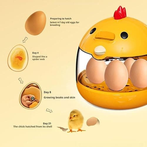 tkerinse Egg Incubator, Rutin Chicken Egg Incubator for Hatching Eggs, Small Clear Egg Hatching Incubator, Automatic Smart Control Hatcher Machine for Variety Size of Eggs thumbnail 9
