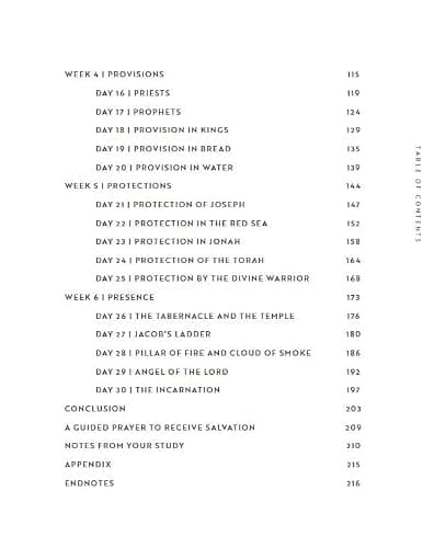 30 Days with Jesus Bible Study Guide: Experiencing His Presence throughout the Old and New Testaments thumbnail 4
