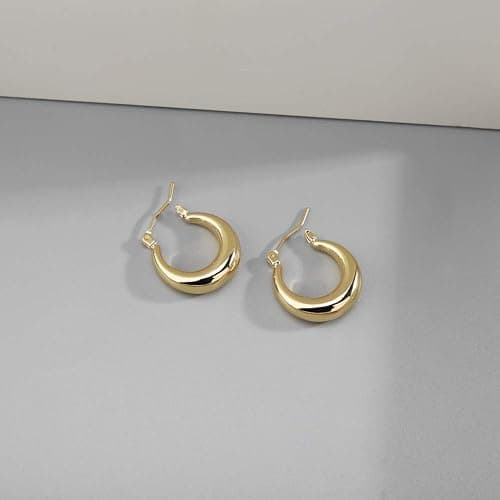 LILIE&WHITE Chunky Gold Hoop Earrings for Women Cute Fashion Hypoallergenic earrings Minimalist Jewelry Gift thumbnail 5