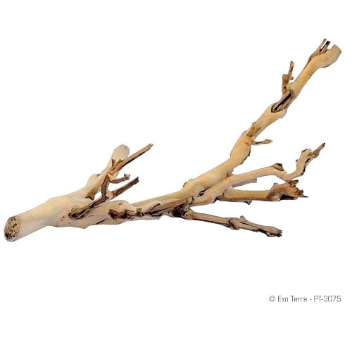 Exo Terra Forest Branch Small - Natural Wood Terrarium Decoration | For Reptiles, Amphibians & Small Pets thumbnail 2