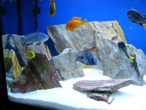 TM Aquatix Aquarium Sand Natural Substrate For All Types Fish Tanks (1kg, Snow White Dolomite) thumbnail 4