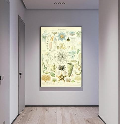 OKRA Adolphe Millot Prints - Pour Tous Posters - Software Bioscience Education Wall Decoration - Vintage Knowledge Posters - Kids Room Kindergarten Frameless Cool Home Decoration (12×18in/30×45cm) thumbnail 4
