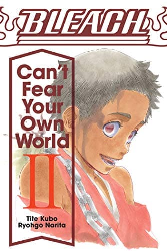 BLEACH: Can't Fear Your Own World 2: Volume 2 - Image 1