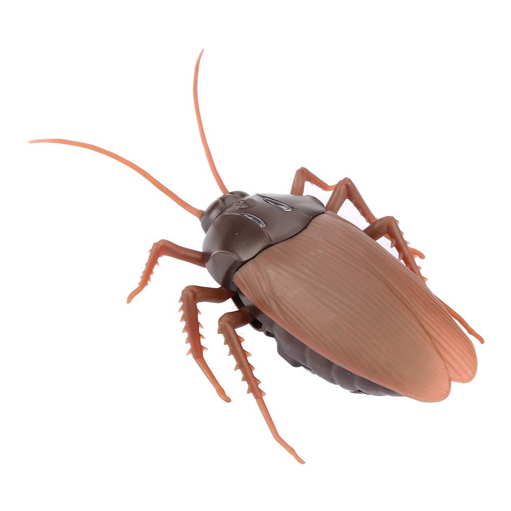 Control Remoto Realista Cucaracha Juguete Eléctrico Cucaracha Animal Miedo Divertido Truco para Niños thumbnail 2
