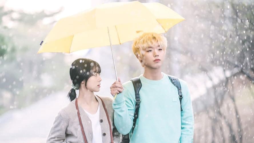 AT A DISTANCE SPRING IS GREEN 远看是蔚蓝的春天 - COMPLETE KOREAN TV SERIES DVD BOX SET (1-12 EPISODES, ENGLISH SUBTITLES, ALL REGION) thumbnail 4