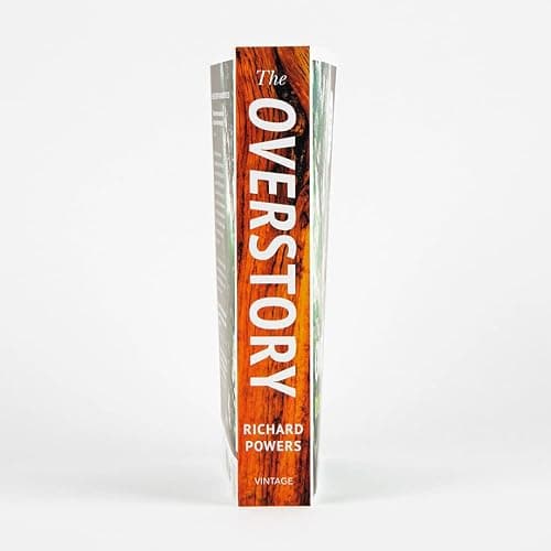 The Overstory thumbnail 6