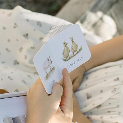 Our Very Little Library Board Book Set: A Foundational Language Vocabulary Board Book Set for Babies (Our Little Adventures Series, 9) - Board book thumbnail 4