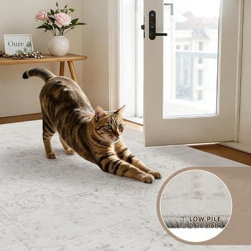 8x10 Area Rugs for Living Room: Vintage Boho Neutral Washable Rug Indoor Soft Large Area Rug Carpet for Bedroom Nursery Farmhouse Dining Room Office Floor Non-Slip Low Pile Under Table Neutral Cream thumbnail 9