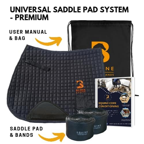 Equine Balance Bands Equine Band System - Core Training Aid for Horses. Saddle Pad and Equibands System thumbnail 3