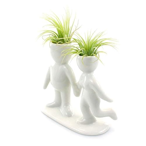 NW Wholesaler 5 Inch White Ceramic Couple Holding Hands People Shaped Planter with Two Live Tillandsia Air Plants - Potted Indoor Air Plants for Home and Office Decor thumbnail 6