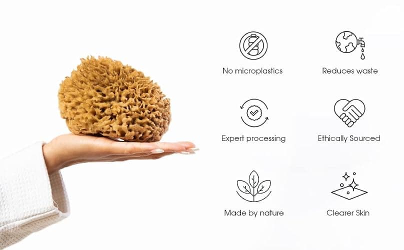 Naroa Soft Natural Sea Sponge | Gentle Loofah for Bathing Smooth Skin | Unbleached Shower Body Scrubber Puff | Bath & Spa (Medium) thumbnail 5
