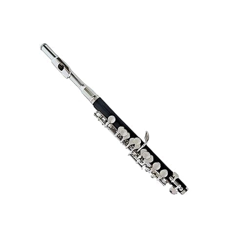 Deloitte Piccolo C Key, Nickel Plated, DPC-110, for Beginner Student Piccolo Instrument with Cleaning Kit, Carrying Case - Image 1