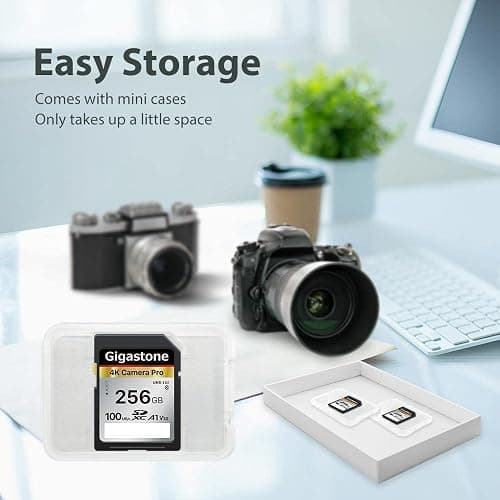 【5-Years Data Recovery】 GIGASTONE 256GB SD Card, 4K Camera Pro, A1 V30 SDXC Memory Card 4K UHD Video Compatible with Canon Digital Camera, with 1 Mini Case thumbnail 8