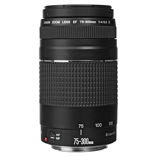 Canon EF 75-300mm f/4-5.6 III Telephoto Zoom Lens for Canon SLR Cameras, 6473A003 (Renewed) thumbnail 2