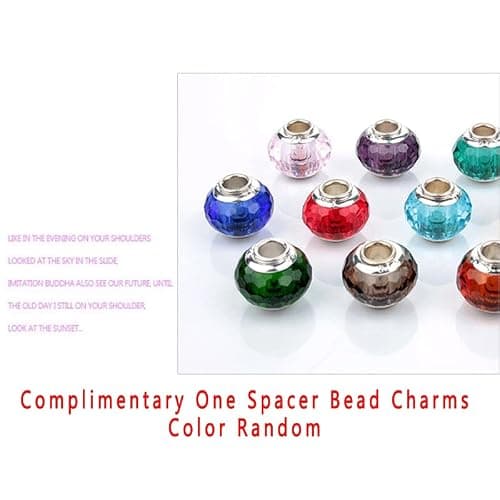 LNQOBU 925 Sterling Silber Charms für Armbänder und Schildkröten-Charme Musik Charms Perlen Schmuck Geschenk für Frauen Mädchen thumbnail 7