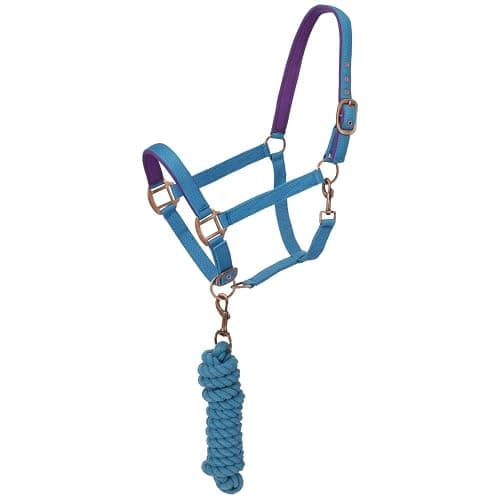 Tough 1 Tough-1 Neoprene Padded Halter with Antique Hardware Lead Set - Image 1