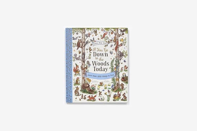 If You Go Down to the Woods Today: A Search and Find Adventure (Brown Bear Wood) thumbnail 2