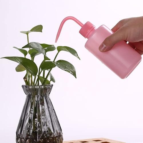 HOOMBOOM 2Pcs Tattoo Wash Bottle 250ml | 8oz Water Squirt Bottle for Succulent Watering & Medical Cleaning - Pink thumbnail 5