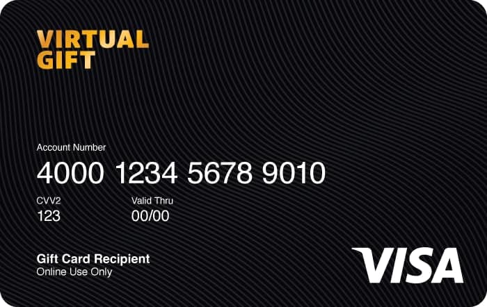 Visa Virtual $200 eGift Card (plus $6.95 Purchase Fee) - For Online Use Only thumbnail 4