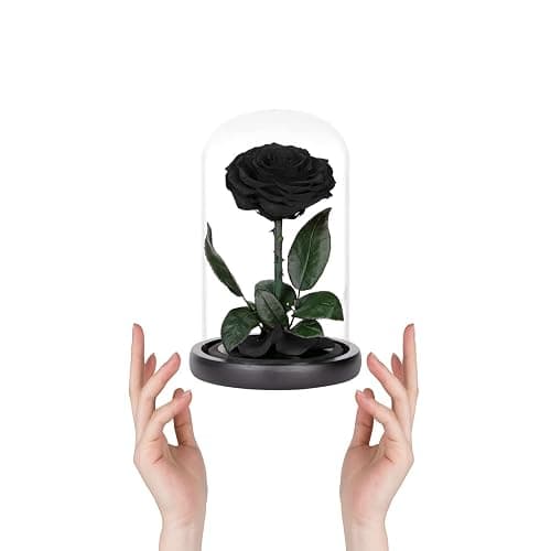Preserved Roses Black Roses in Glass Dome, Medium, Preserved Flowers for Mothers Day, Gifts for Women thumbnail 4