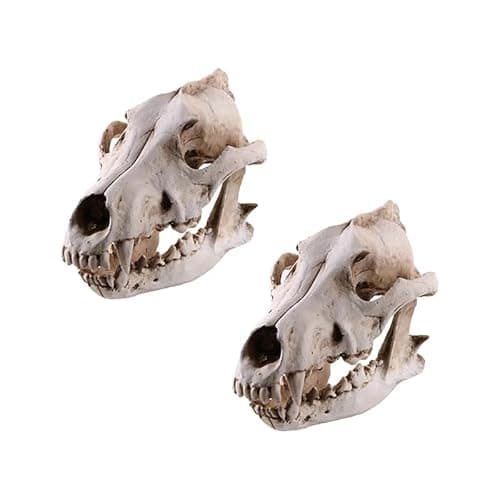 Resin Wolf Skull Wolf Skull Model Decoration Craft Film Props Collection Crafts Home Decoration Garden Decoration thumbnail 8