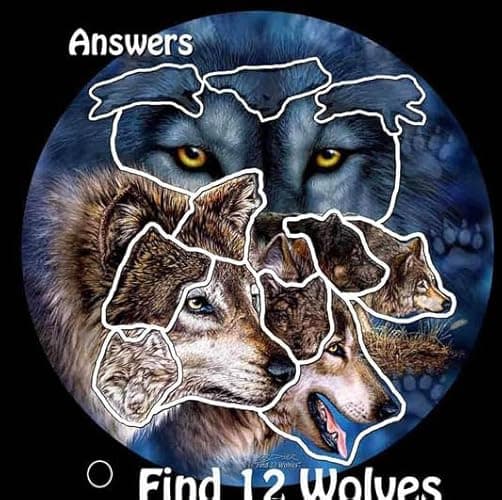 Remorelt Wolf Eagle Bear Dream Catcher Bedroom Wall Decor, Christmas Home Decoration, Room Accessory, White Moon Feather Decoration - Unique Home Craft Wall Pendant (DC07 8Inch 3D Wolf) thumbnail 6