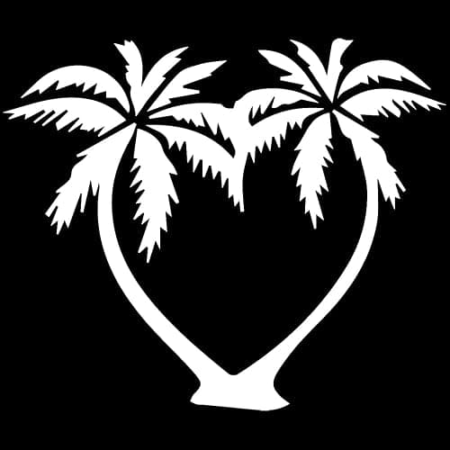 Transparent Decal Stickers of Palm Tree (White) Premium Waterproof Vinyl Decal Stickers for Laptop Phone Accessory Helmet Car Window Mug Tuber Cup Door Wall Decoration ANDSKUSg11843WH090622 - Image 1