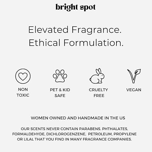 Bright Spot 120 Day Car Air Freshener - Long Lasting Citrus, Bergamot, Woods, Amber Scent for Auto and Home - Non-Toxic Refillable Hanging Diffuser thumbnail 4