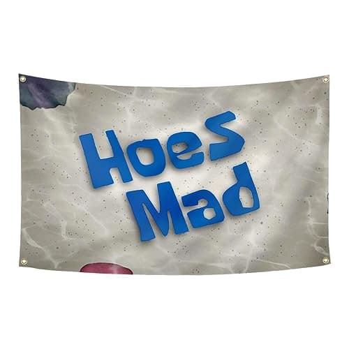 WSINO Hoes Mad Flag 3x5Ft Funny Meme Tapestry for College Dorm Room Guys Man Cave Frat Bedroom Art Deco - Image 1