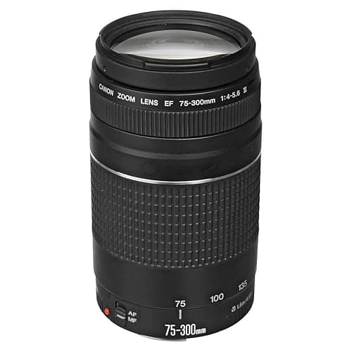 Canon EF 75-300mm f/4-5.6 III Telephoto Zoom Lens for Canon SLR Cameras, 6473A003 (Renewed) - Image 1