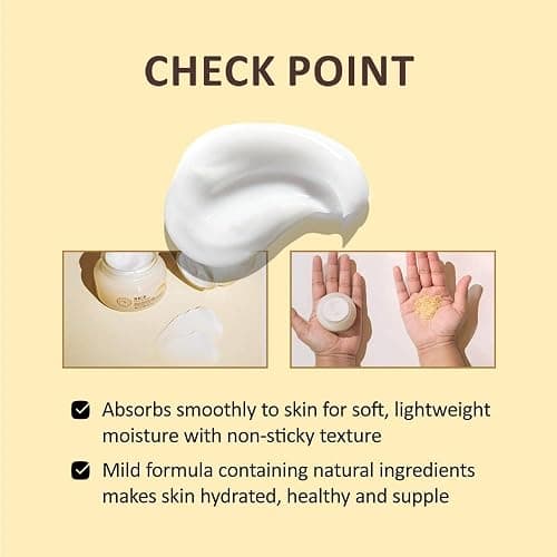 The Face Shop Rice Ceramide Moisturizing Cream - Rice Extract + Rice Bran Oil - Hydrating Targets Dryness, Brightening - Dermatologically Tested - Lightweight Moisturizer Face Cream - Korean Skin Care thumbnail 4