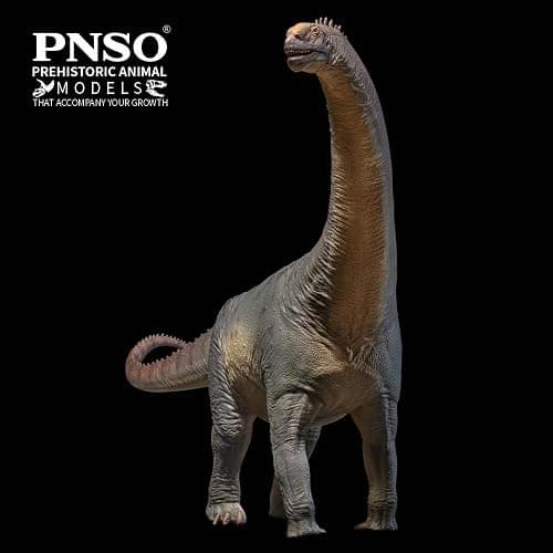 PNSO Prehistoric Dinosaur Models:85 Njor the Camarasaurus thumbnail 6