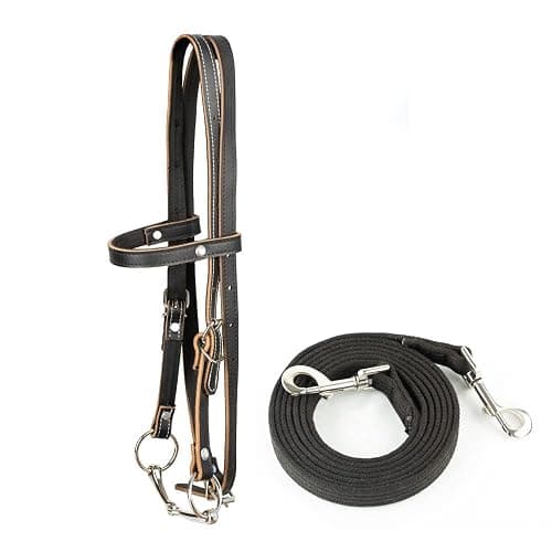 Y.J TAILS Leather Horse Bridle, Adjustable Western Browband Bridles for Horses with Bits and Detachable Reins (L (Above 1.2 Meters), Black) - Image 1
