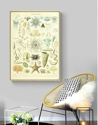 OKRA Adolphe Millot Prints - Pour Tous Posters - Software Bioscience Education Wall Decoration - Vintage Knowledge Posters - Kids Room Kindergarten Frameless Cool Home Decoration (12×18in/30×45cm) thumbnail 5