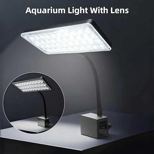 Vimvins 10 Gallon Glass Small Fish Tank with Filter Light and Lid, Aquarium Starter Kit thumbnail 7