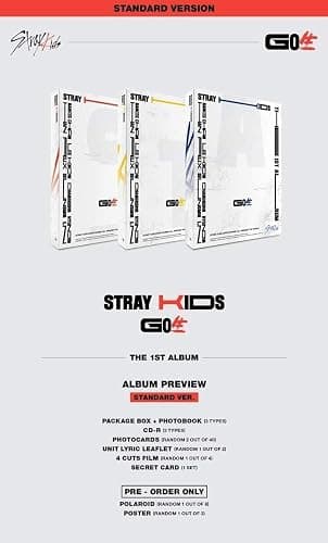 Stray Kids 'Go Live 生' 1st Album 3 VER SET CD+80p PhotoBook+2p PhotoCard+8p Lyric Leaflet+4 Cut Film+Secret Card+Message PhotoCard Set (A + B + C Ver SET) thumbnail 2