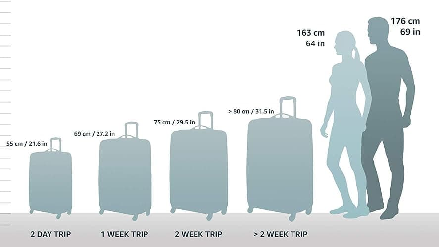 Rockland Laguna Beach Hardside Spinner Wheel Luggage, Black Dot, Carry-On 20-Inch thumbnail 2