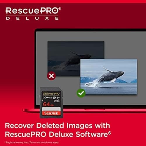 SanDisk 64GB Extreme PRO SDXC UHS-I Memory Card - C10, U3, V30, 4K UHD, SD Card - SDSDXXU-064G-GN4IN thumbnail 6