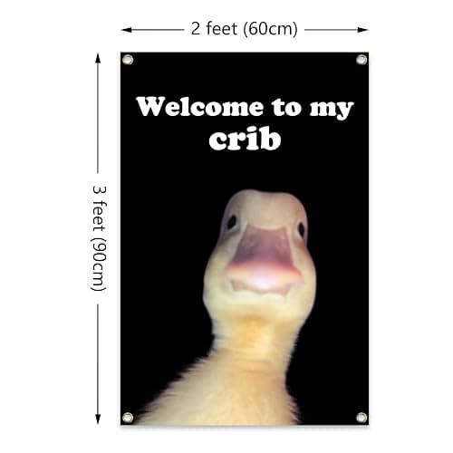 ILINJAU Welcome To My Crib Flag Funny Tapestry 2x3Ft Indoor Outdoor Wall Art Tapestry for Bedroom Teens Room Decoration Living Room Bedroom thumbnail 2