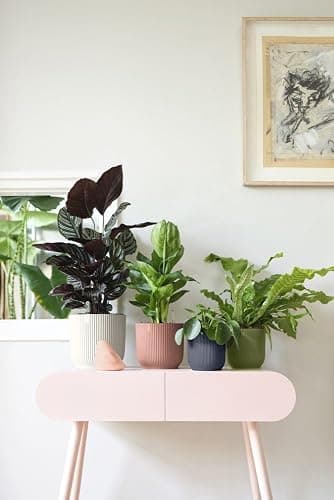 elho Vibes Fold Round 16 - Flower Pot from 100% Recycled Plastic - Indoor Plant Pot - Ø 16.1 x H 14.8 cm - Black/Anthracite thumbnail 2