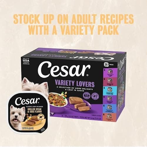 Cesar Wet Dog Food Home Delights & Classic Loaf in Sauce, Breakfast & Dinner Variety Pack, 3.5 oz. Trays, 24 Count (Pack of 1) thumbnail 13