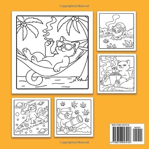 Stoner Cat Moments Coloring Book: Bold and Trippy Coloring Book For Adults Featuring Stoner Cats, Psychedelic Cannabis Weed Designs for Relaxation thumbnail 2