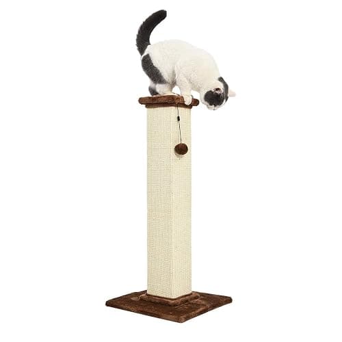 Amazon Basics Cat Scratcher - Indoor Classic Single Cat & Kittens Scratching Post with Sisal Rope, Jute Fiber, Large (35.4"H) - Brown thumbnail 4