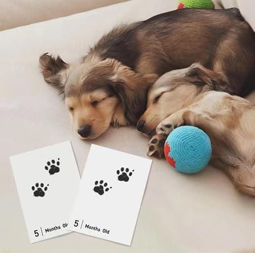 14 Pieces Baby Inkless Milestone Cards,1 Month to 12 Month Hand and Footprint Kit,Dog or Cat Pet Paw Print Kit,Newborn Safe Inkless Pad,Hello World Newborn Sign Memory Kit(14 Ink Pad+14 Papers) thumbnail 7