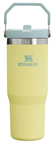 Stanley IceFlow Flip Straw Tumbler with Handle | Twist On Lid and Flip Up Straw | Leak Resistant Water Bottle | Insulated Stainless Steel | BPA-Free - Image 1